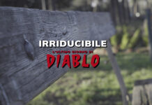 Irriducibile - L'ultimo giorno di Diablo su Discovery +