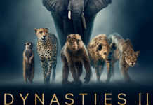 Dynasties 2, i nuovi episodi della serie BBC, va in onda dal 21 giugno 2022 in prima serata su Rete 4