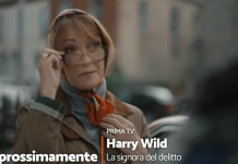 Harry Wild - La signora del delitto, la serie tv con Jane Seymour nel cast, in onda su Rete 4 da martedì 12 luglio 2022