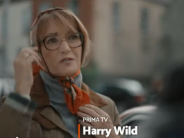 Jane Seimour è Harry Wild - La signora del delitto - Gli episodi 1 e 2 della serie in onda stasera, 12 luglio 2022, su Rete 4