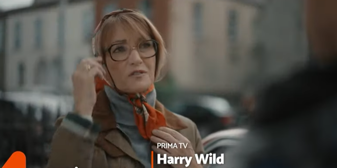 Jane Seimour è Harry Wild - La signora del delitto - Gli episodi 1 e 2 della serie in onda stasera, 12 luglio 2022, su Rete 4